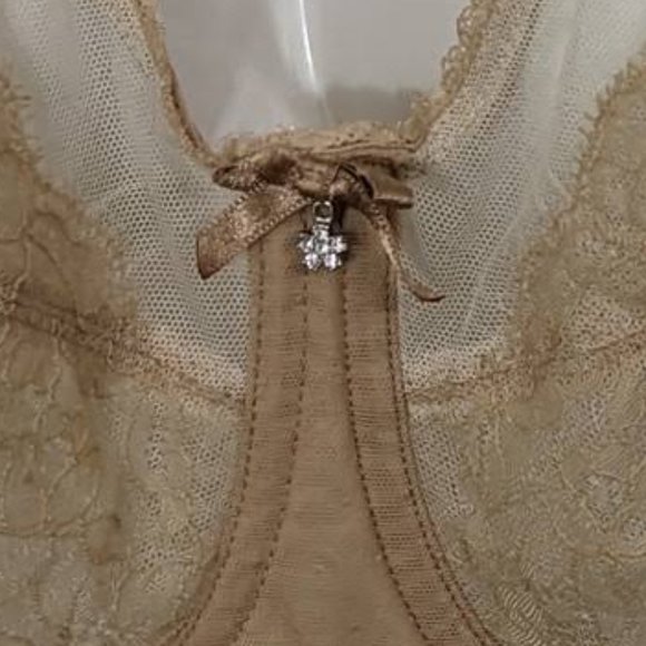 Wacoal Beige Retro Chic Full Figure Underwire Bra - size 36DD - Picture 3 of 7